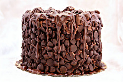 upsideumop:  neekaisweird:  Chocolate Wasted Cake (by artofdessert)  This is on my To-Bake list 