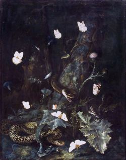 anti-krist:  Otto Marseus van Schrieck 1670 