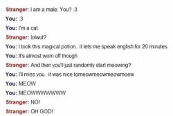 pleaseaskfluttershy:  themastern:  the-absolute-funniest-posts:  Follow this blog, you will love it on your dashboard  This…this is fun  Meow 