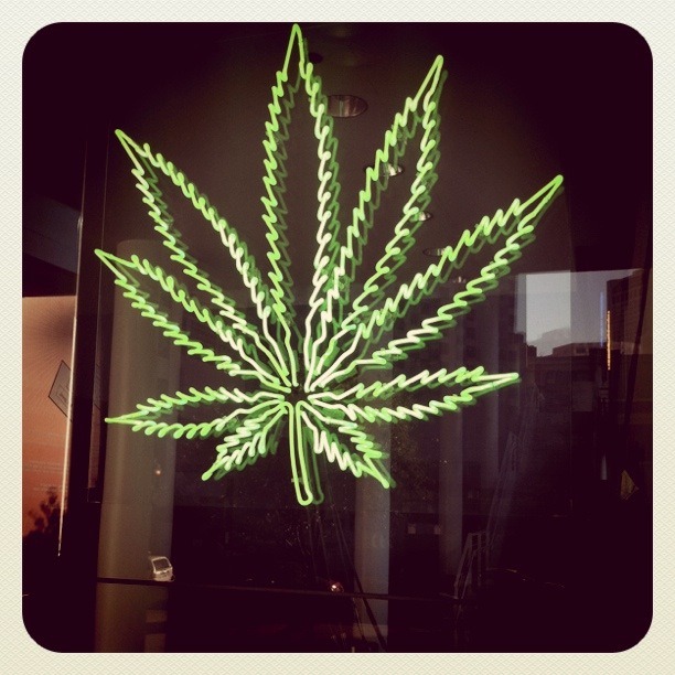 Lady Chronic