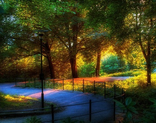 bluepueblo:  Summer Park, Bergen, Norway photo via bravezone 
