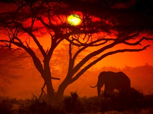 t-i-g-e-r-p-r-i-n-c-e-s-s:  Click Here To Be Amazed! 