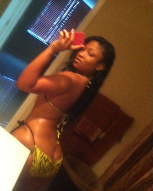 SXYCURVES