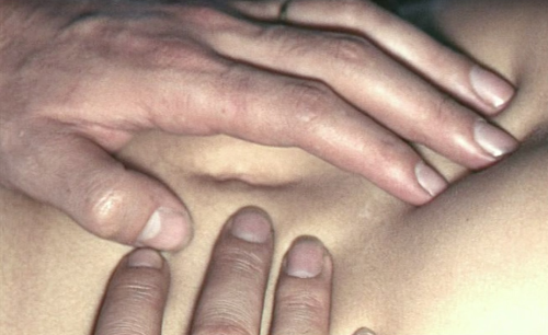 seductings:   Le Bonheur, Agnès Varda (1965) 