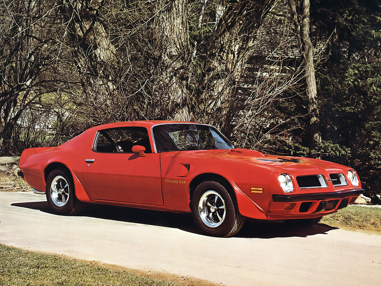 masterpiston:  1974 Pontiac Firebird Trans Am.