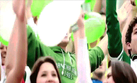 secret-danger:  Palmeiras sempre no meu coração!!! Independente de resultados,