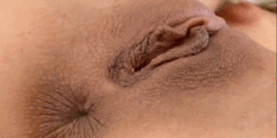 pinkts:  #sexgifs #hole #compress #pussy