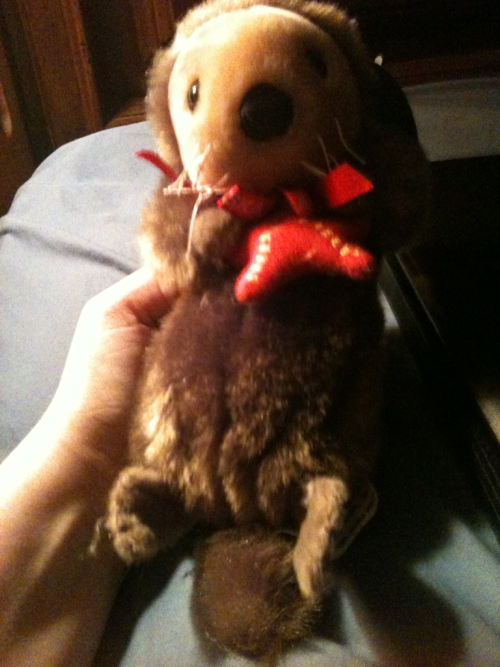 My Otterboo plush