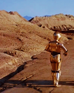 captainwarbuckle:  this makes me want to run out and get two dogs named c3po and