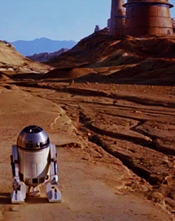 captainwarbuckle:  this makes me want to run out and get two dogs named c3po and