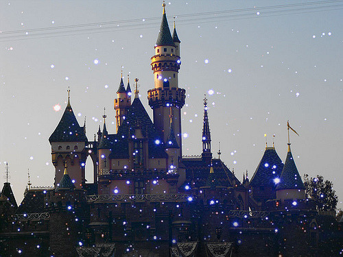 hello-ace:  december disneylanddd 