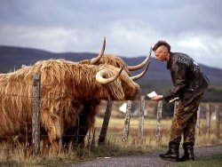 ode-on-a-grecian-butt:  I just want to give those cows a noogie.