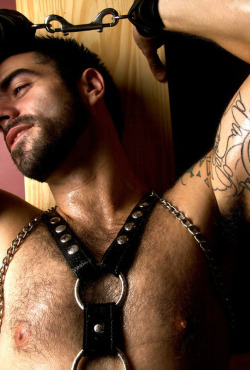 manbeaston:  He wears his leather well… 