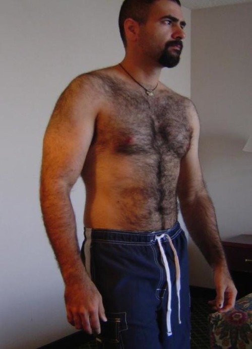 B-B-B-Bears!