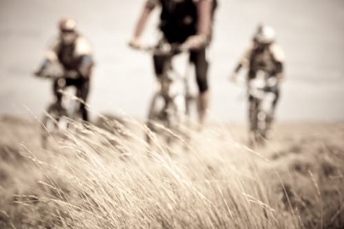 Black Sheep - ERP - 18 A team riding across the wndswept grasslands of northern Tierra del Fuego dur