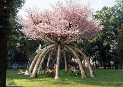 I WANT TO CLIMB THISarchitizer:  The Patient Gardener, a 60-year long project to create a two-story retreat out of Japanese cherry trees. 