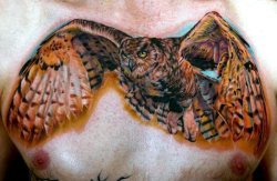 cecilporterstudios:  owl