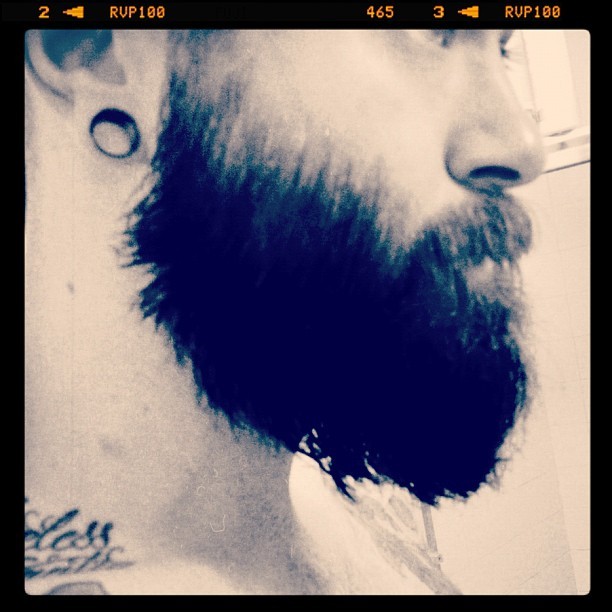 thedailybeard:  derekwoods:  Viking beard update. Almost there and over a month more