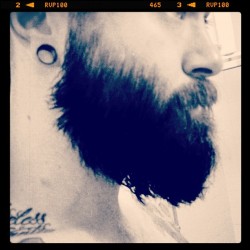 thedailybeard:  derekwoods:  Viking beard
