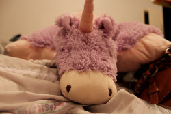 i have this pillow pet <3