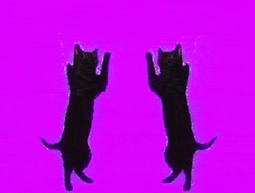 meowthtomeowth.tumblr.com/post/12503368627/