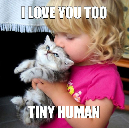 funny-pictures-uk:  Aww. 