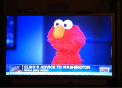 popokoo:  quattrovagina:  chineseelectricbatman:  THUS AMERICA WAS SAVED.  voting for elmo  god bless you elmo you perfect creature 