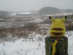 kadoda:  crimson-firecat:  unholystagepresence:  badgerbutts:  thinkin bout life  The snow soaked his fur and made the old Pikachu cold straight to his bones, but he didn’t move from his spot, perched on the old, rotting post that had once been a sign.