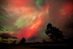 Cwnl:  Aurora Display Leaves Skywatchers Spellbound A Dazzling Aurora Light Show