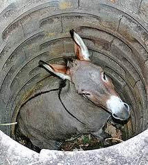 releaseyourfears:   Um dia, um burro caiu num poço e não podia sair dali. O animal chorou fortemente durante horas, enquanto o seu dono pensava no que fazer. Finalmente, o camponês tomou uma decisão cruel: concluiu que já que o burro estava muito