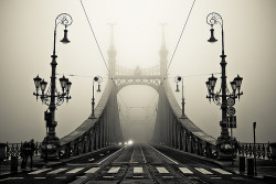 bluepueblo:  The Bridge  Gellert, Budapest,