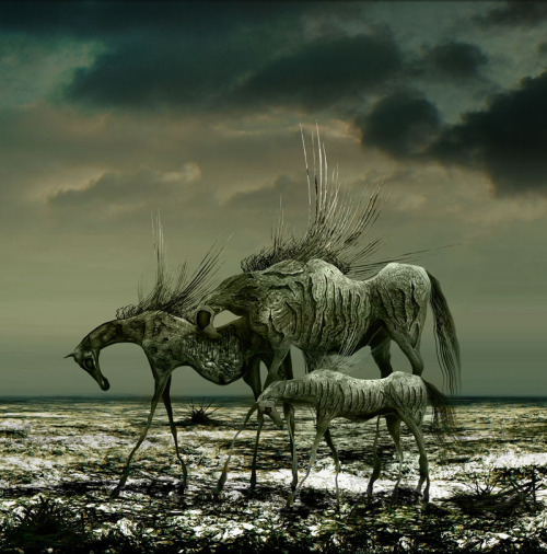 darkface: Wild Horses v.2 by ~aspius