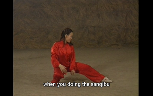 jromeem:so I bought a DVD from China to teach me wushu baguazhang…but the subs are distracting…