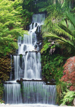 bluepueblo:  Waterfall, New Plymouth,Taranaki,