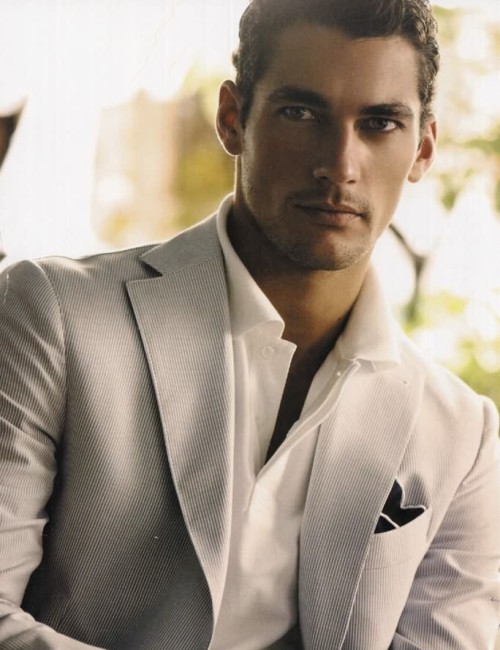 nickelbronx:  i have had many male model obsessions, but this man tops the chart.  i will speak of no other since discovering this creature. he is the epitome of amazeballs.  in fact it is the exact definition. you’re welcome. this. is. david. gandy.