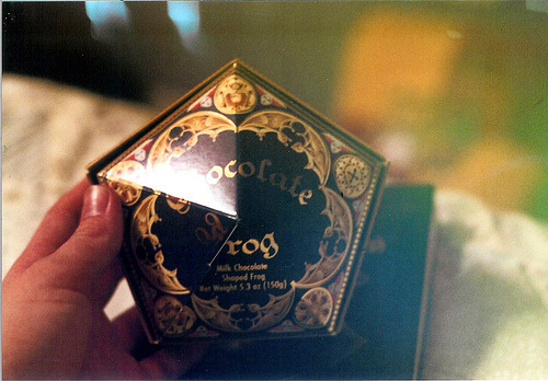 c-a-n-a-r-i-o.tumblr.com/post/12001431029/
