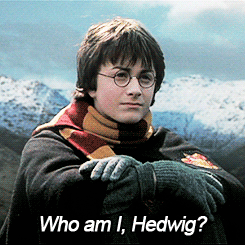 winterinthetardis:thebearjew:#why was i put on this earth #what is the meaning of life hedwig #you’r