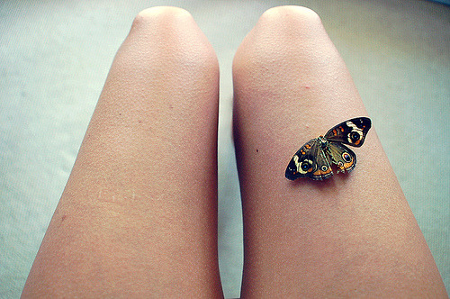 overboarddd:  (by solipsism;) 