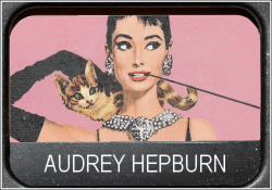 excellencia:  I chose Miss Hepburn for my