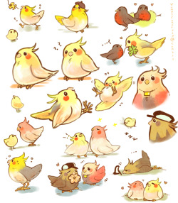 yummytomatoes:  I have a soft spot for cockatiel’s. They’re so cute— they’re like Pikachu’s! I also added some Tiger and Bunny cockatiel’s— can’t help it :c   and robbin’s! I love robbins~~ andandys   birdies birdiessss aaa