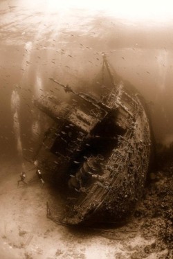 madeofmorninglight:  nevver:  Wreck  eerie