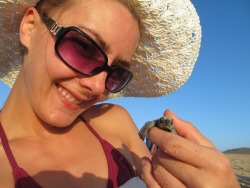 We released baby sea turtles today at sunset in Baja California Sur. It was one of the most beautiful, memorable moments in my life!