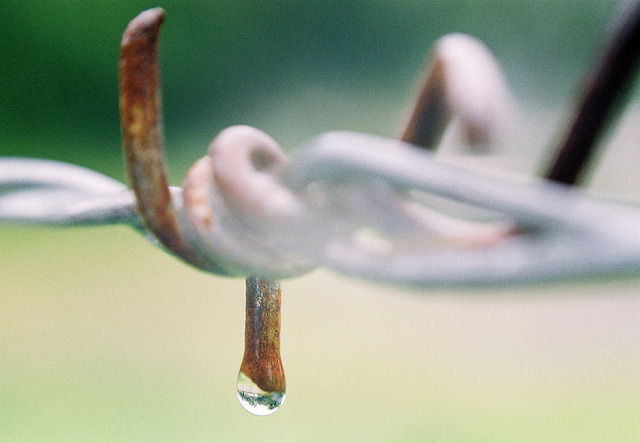 It’s a rainy day. {HFF} on Flickr.
Via Flickr:
• Camera: Nikon FM
• Film: Fuji Superia 200
• Popular interesting | Blog | Tumblr