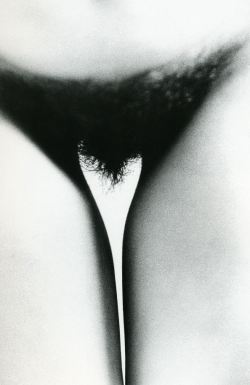 samepic:  samepicbw:  fernsandmoss:  Ralph Gibson  Ralph Gibson  !