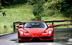 onlysupercars:  Day of Ferrari