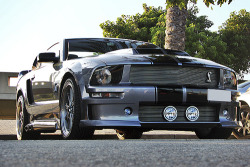 automotivated:  Ford Mustang Eleanor KS (by
