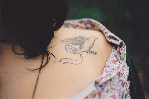 c-a-n-a-r-i-o.tumblr.com/post/12046104718/