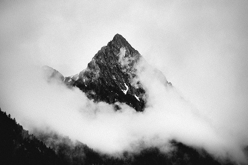 black-and-white:  Untitled (by [ al ]) 