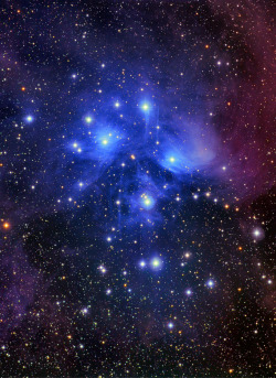 weareallstarstuff:  Pleiades 