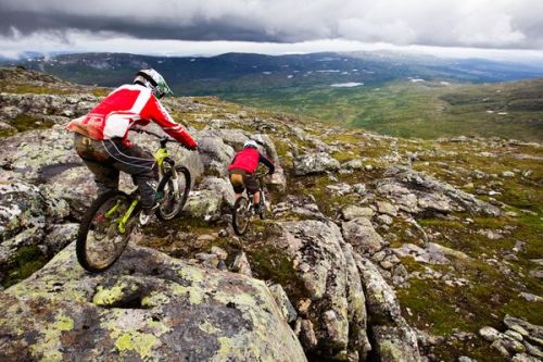 maddogsrule:  An incredible journey - OGR